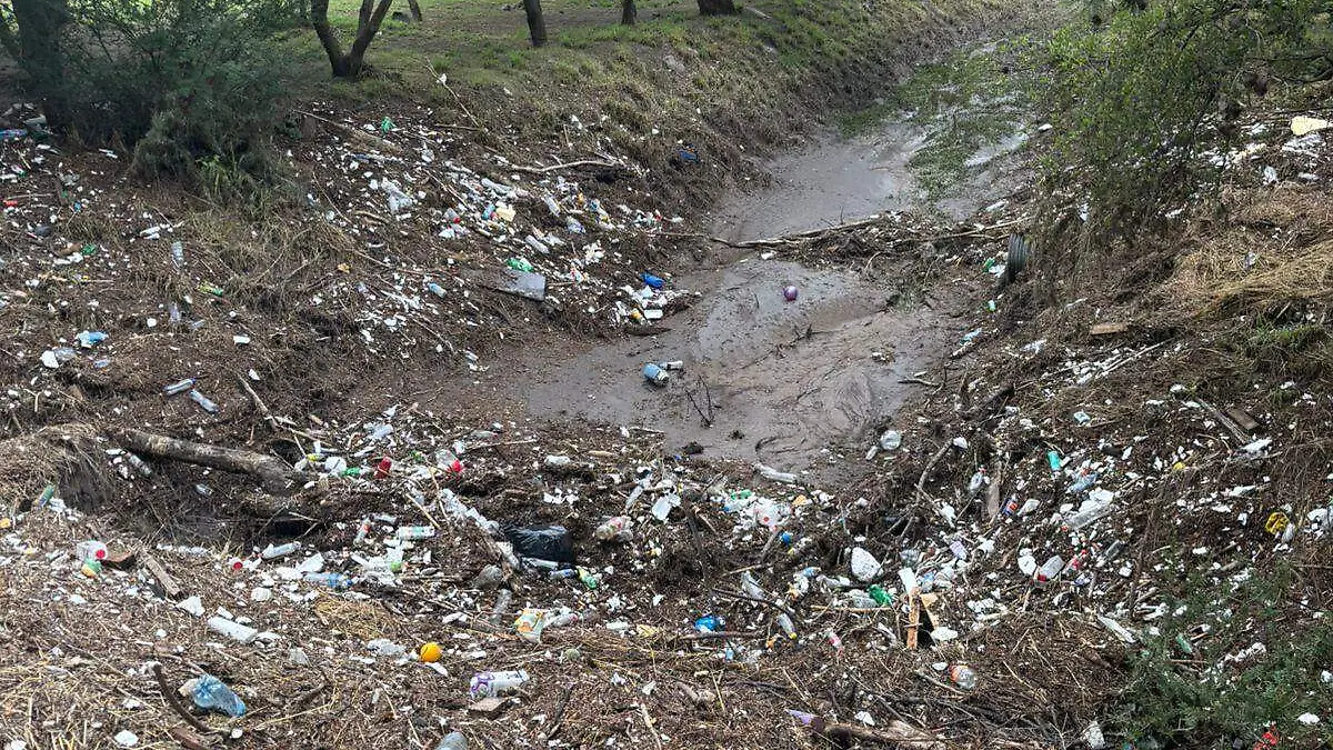 La basura en el Bordo