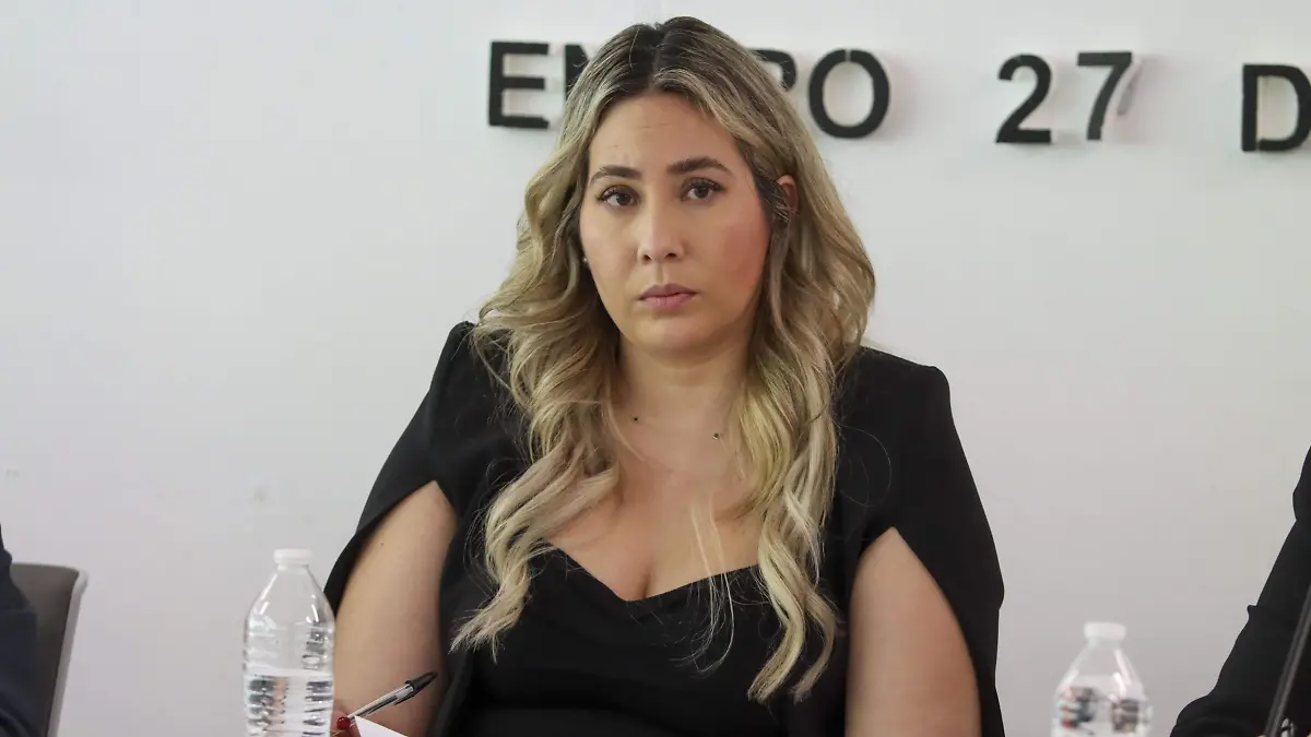 La diputada Andre Tovar espera