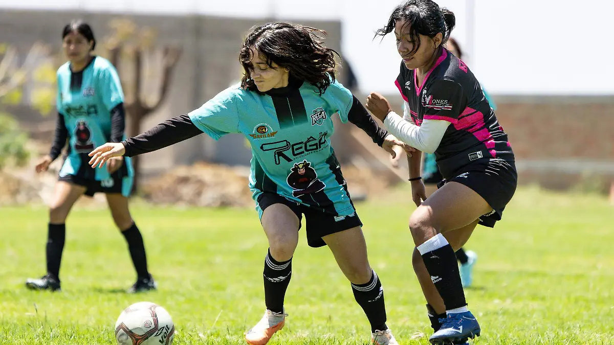 Rega en la División de Expansión