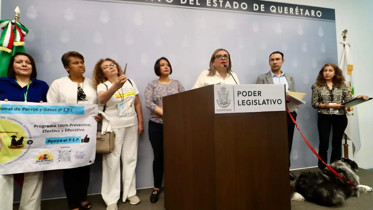 DIPUTADOS MORENISTAS