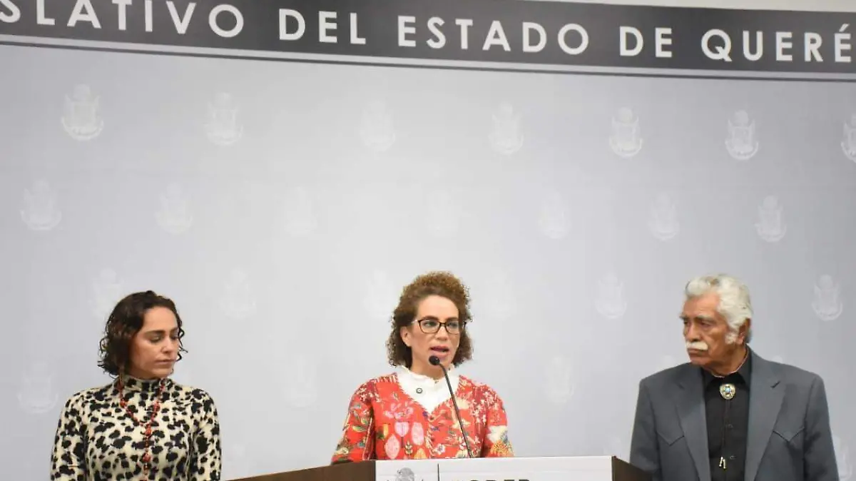 La diputada Adriana Meza