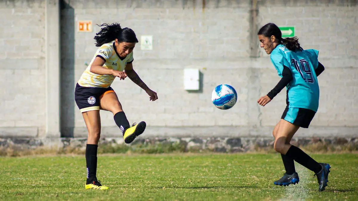 Pollo Qro sigue imparable en Expansión 