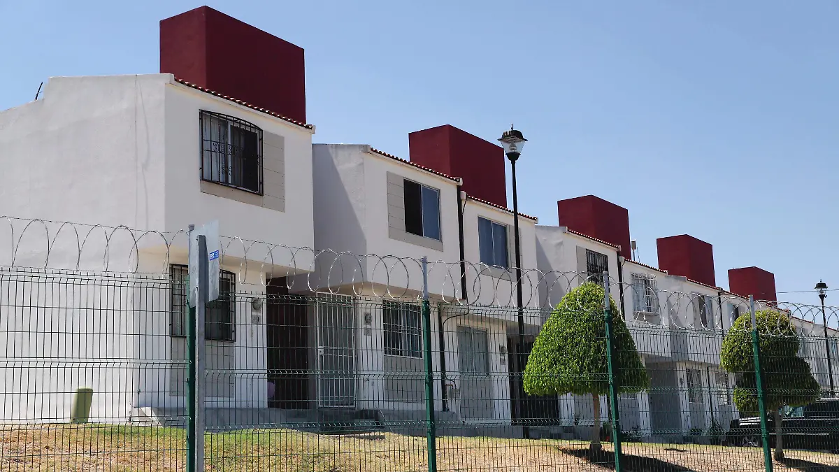 WhatsApp Image 2025-11-14 at 12.42.46