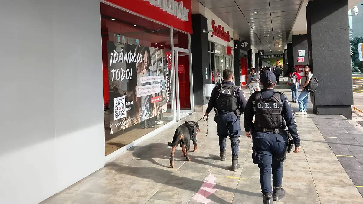 WhatsApp Image 2025-11-18 at 09.38.52