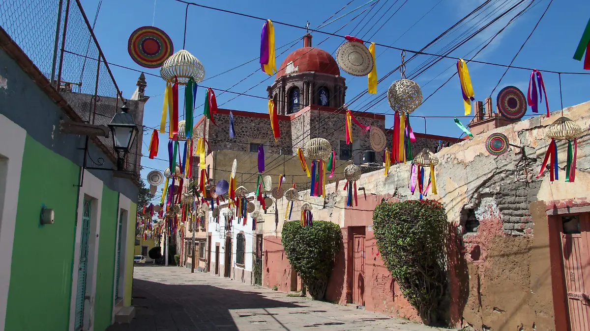 WhatsApp Image 2025-11-18 at 11.09.20