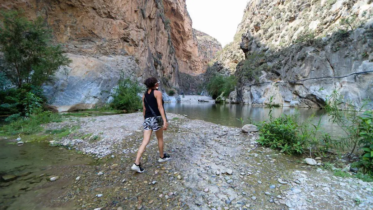 13c1cb73-1d36-4e2e-ba86-bf147ef07581