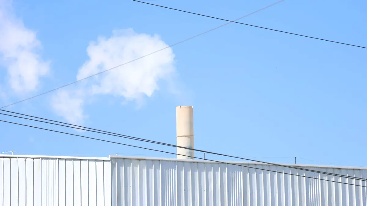 WhatsApp Image 2025-11-20 at 14.04.56