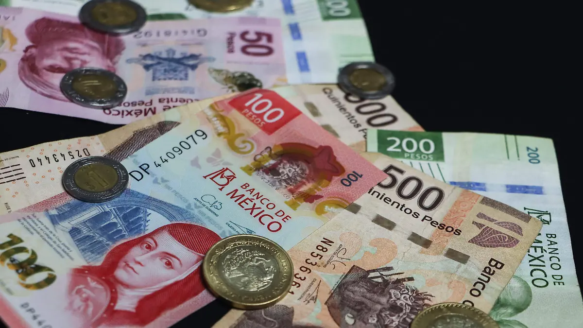 WhatsApp Image 2025-11-23 at 11.34.46 AM