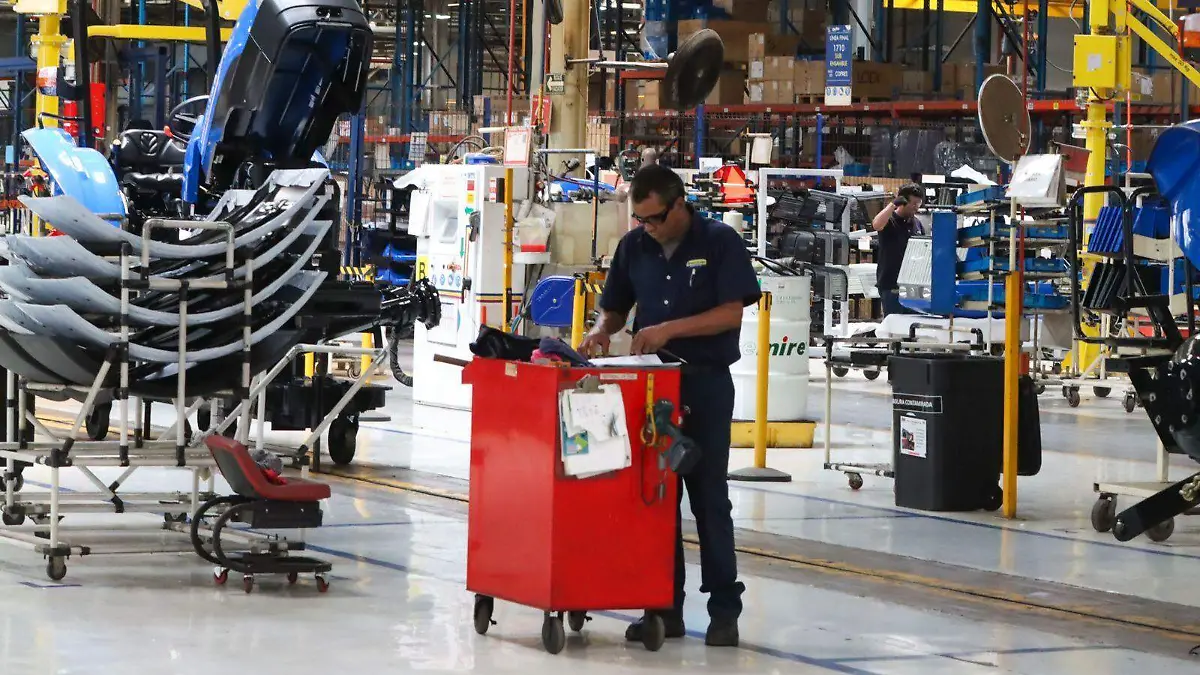 WhatsApp Image 2025-11-27 at 13.45.26