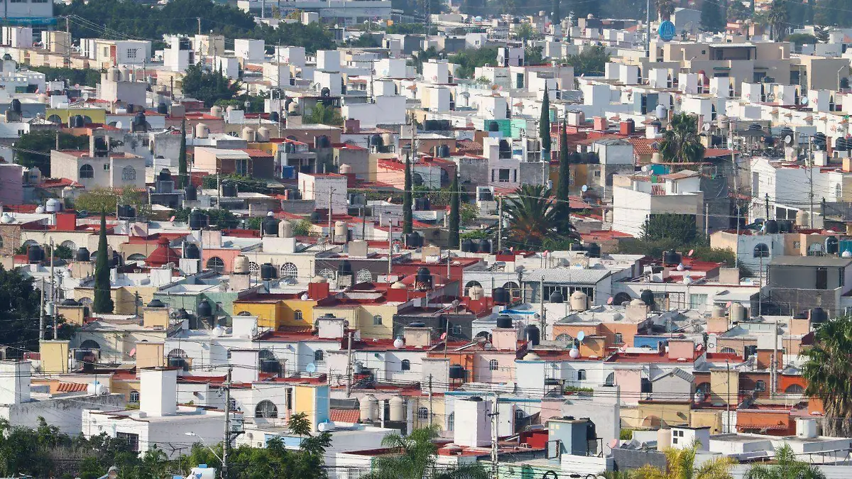 WhatsApp Image 2025-12-02 at 13.54.46