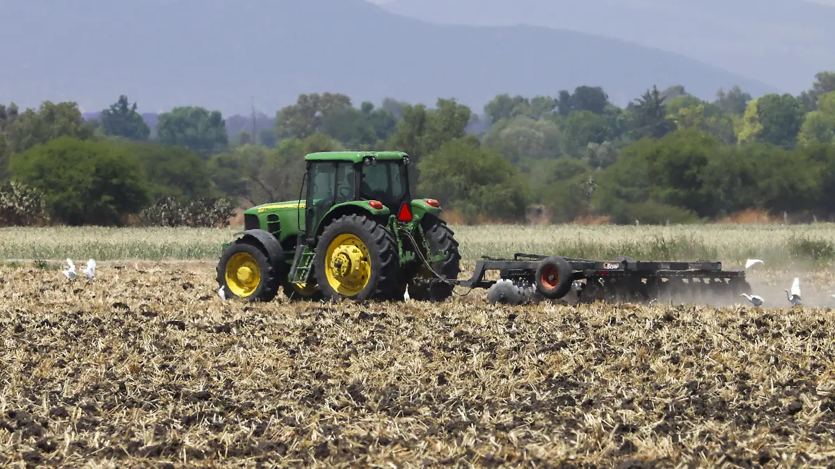 250428_TRACTOR CAMPO SEQUIA_HA_1