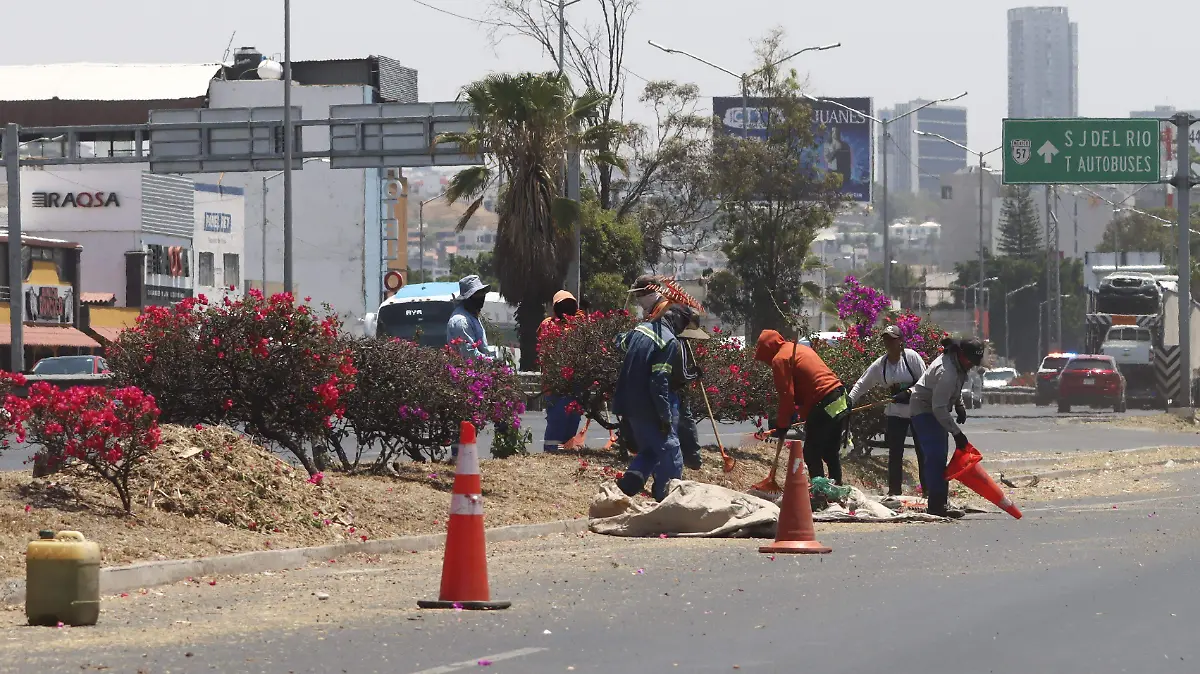 250423_MANTENIMIENTO AUTOPISTA 57_HA_6
