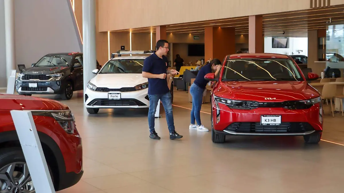 WhatsApp Image 2025-12-16 at 15.01.35