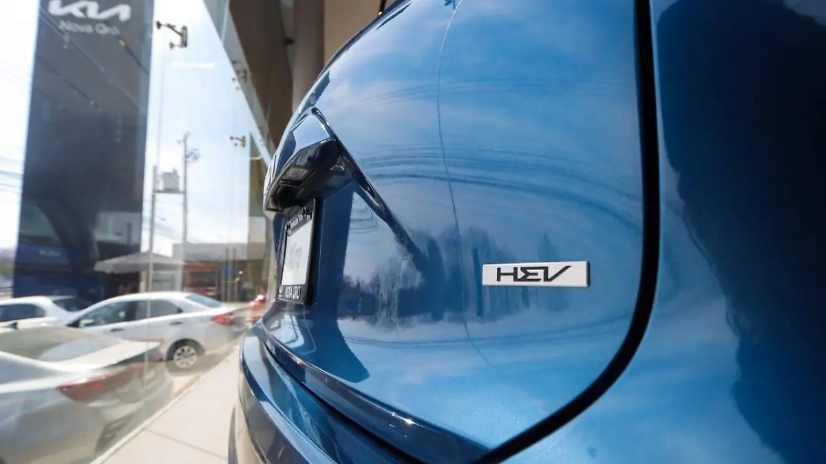 WhatsApp Image 2025-12-16 at 15.02.11