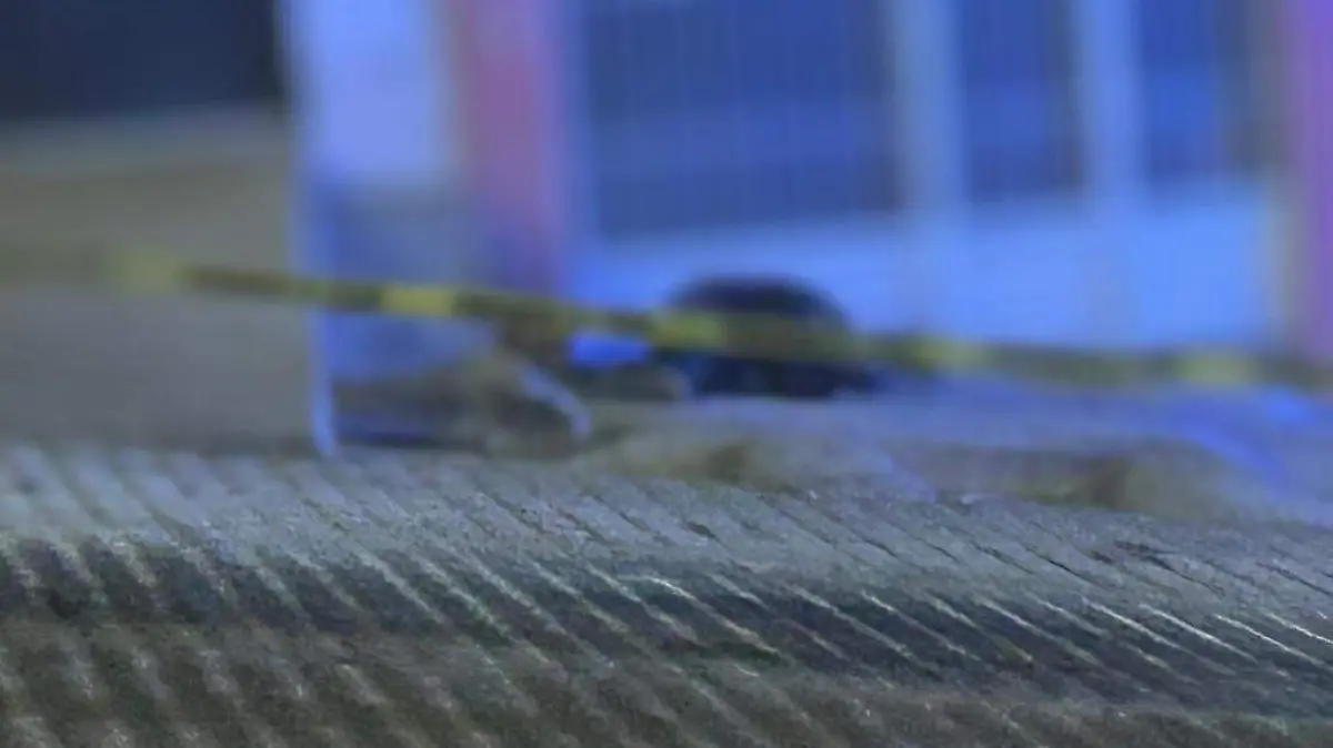 IMG-20251222-WA0039~2