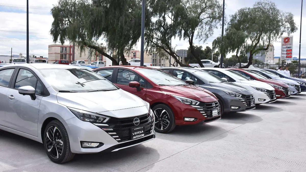 WhatsApp Image 2025-11-10 at 17.21.04