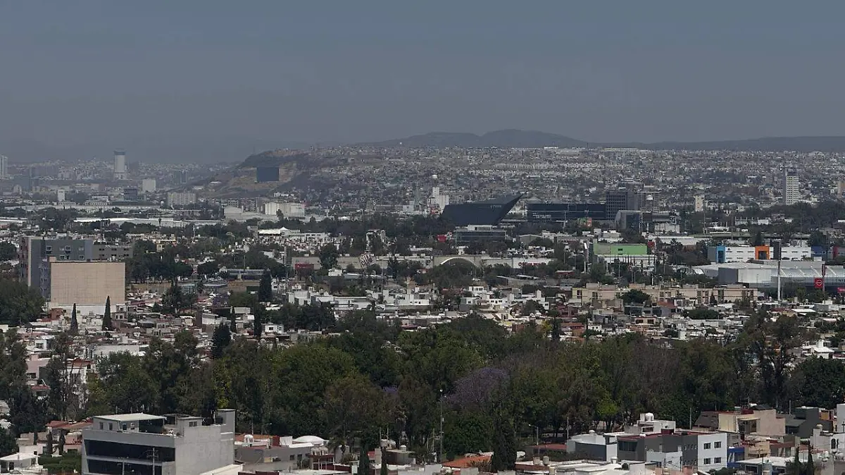 WhatsApp Image 2025-12-22 at 14.54.17