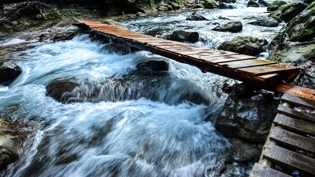 WhatsApp Image 2025-12-22 at 18.24.33