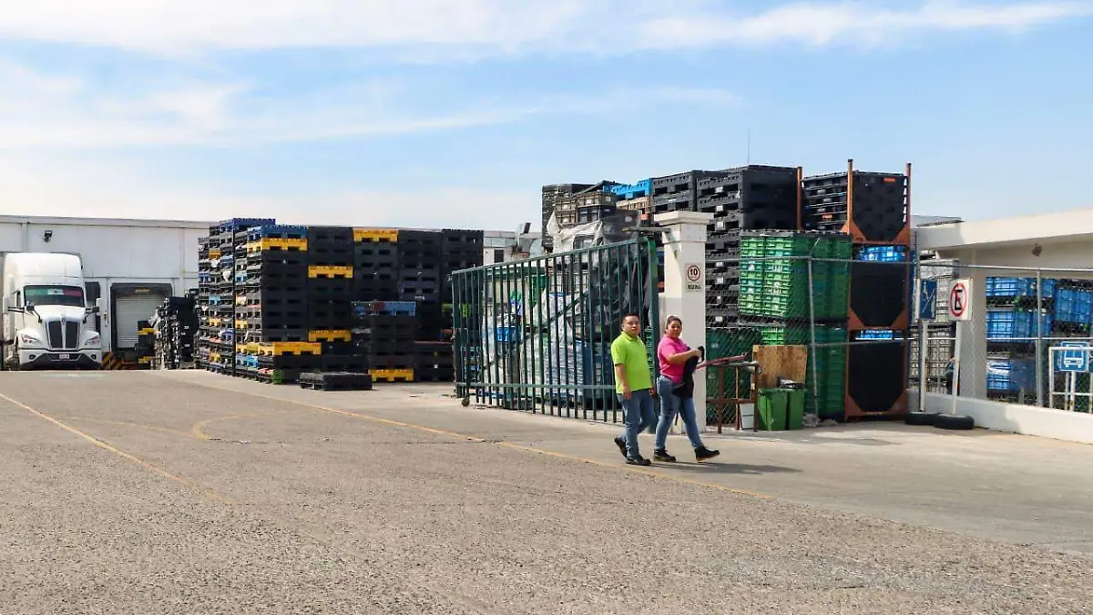 WhatsApp Image 2025-12-23 at 11.57.46