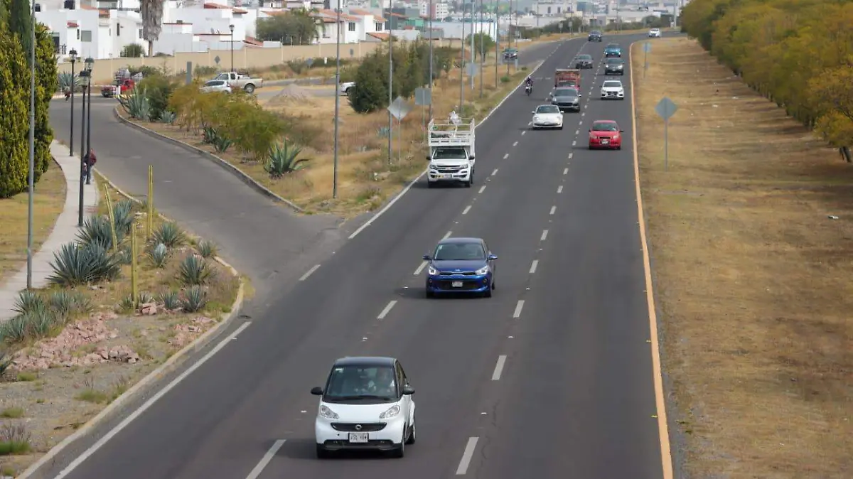 WhatsApp Image 2025-12-23 at 12.30.31