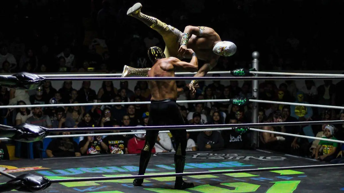 IMG-20251204-WA0028(1)