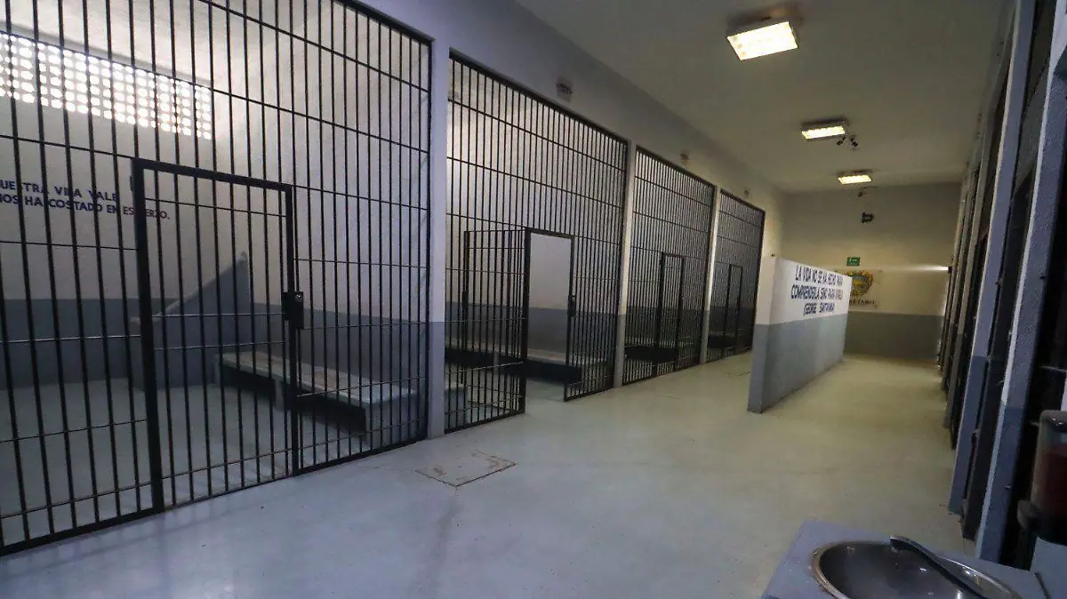 PHOTO-2025-12-25-09-17-05 2