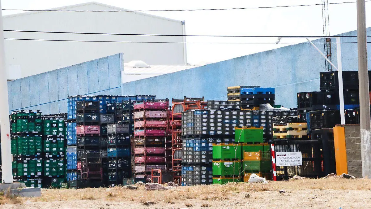 WhatsApp Image 2025-12-25 at 1.33.11 PM