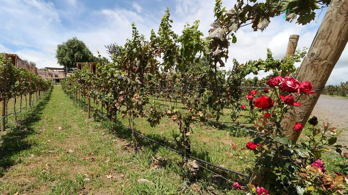 WhatsApp Image 2025-12-25 at 1.33.10 PM