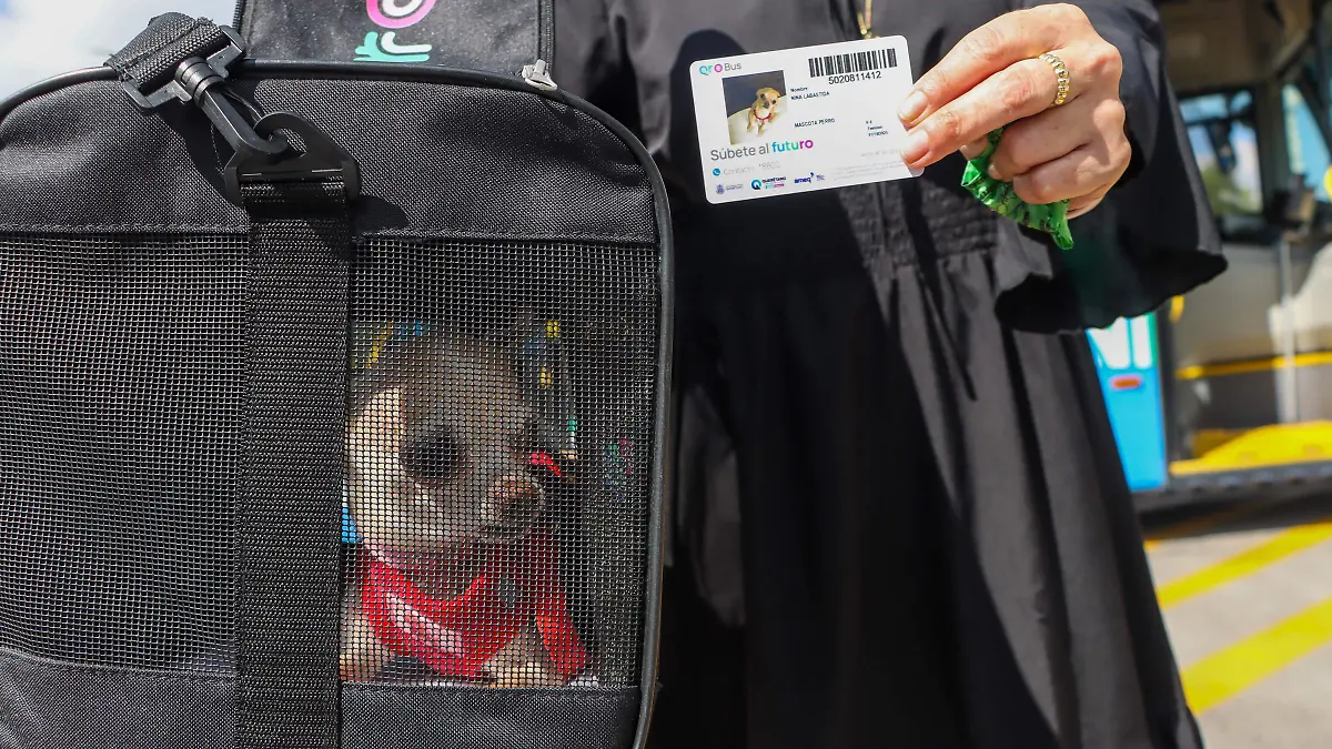 251002_PRESENTACION QROBUS PET FRIENDLY_IS-9