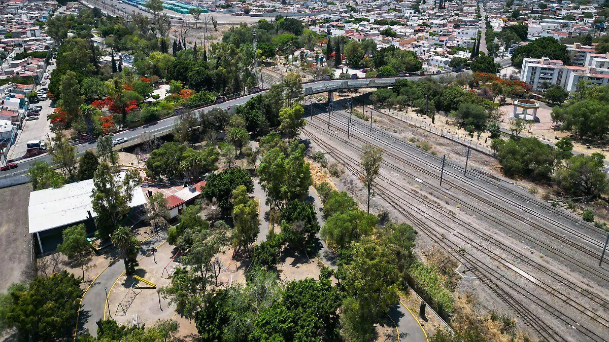 WhatsApp Image 2025-12-26 at 12.21.50