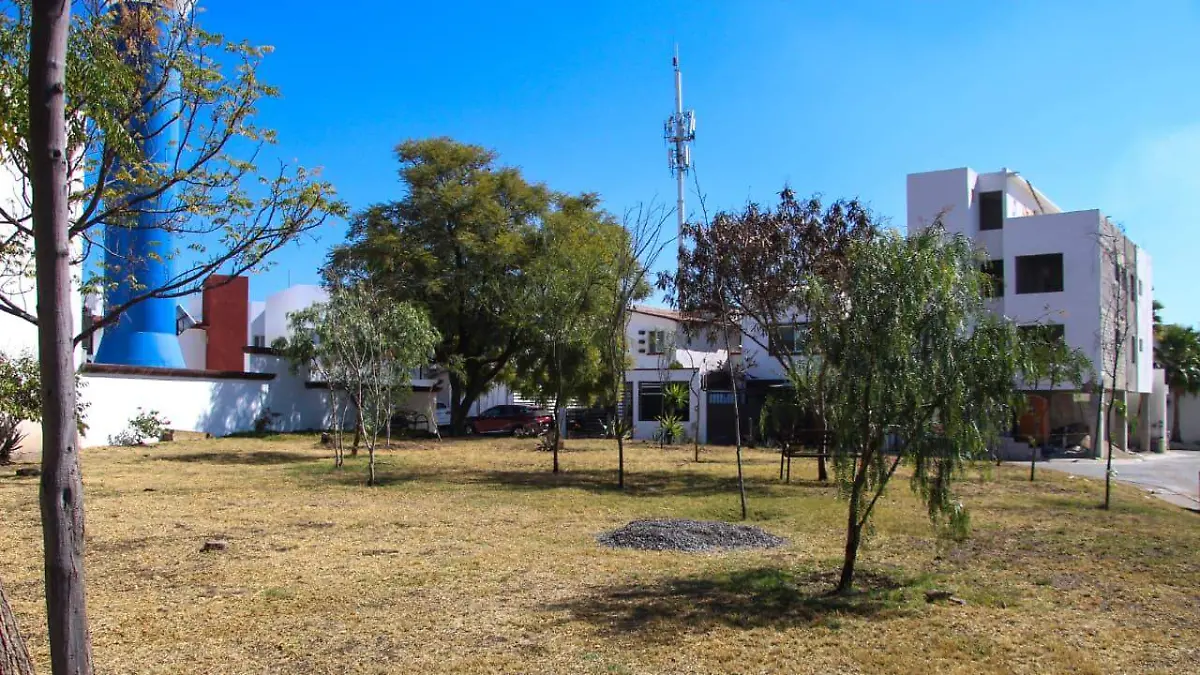 WhatsApp Image 2025-12-26 at 2.57.31 PM