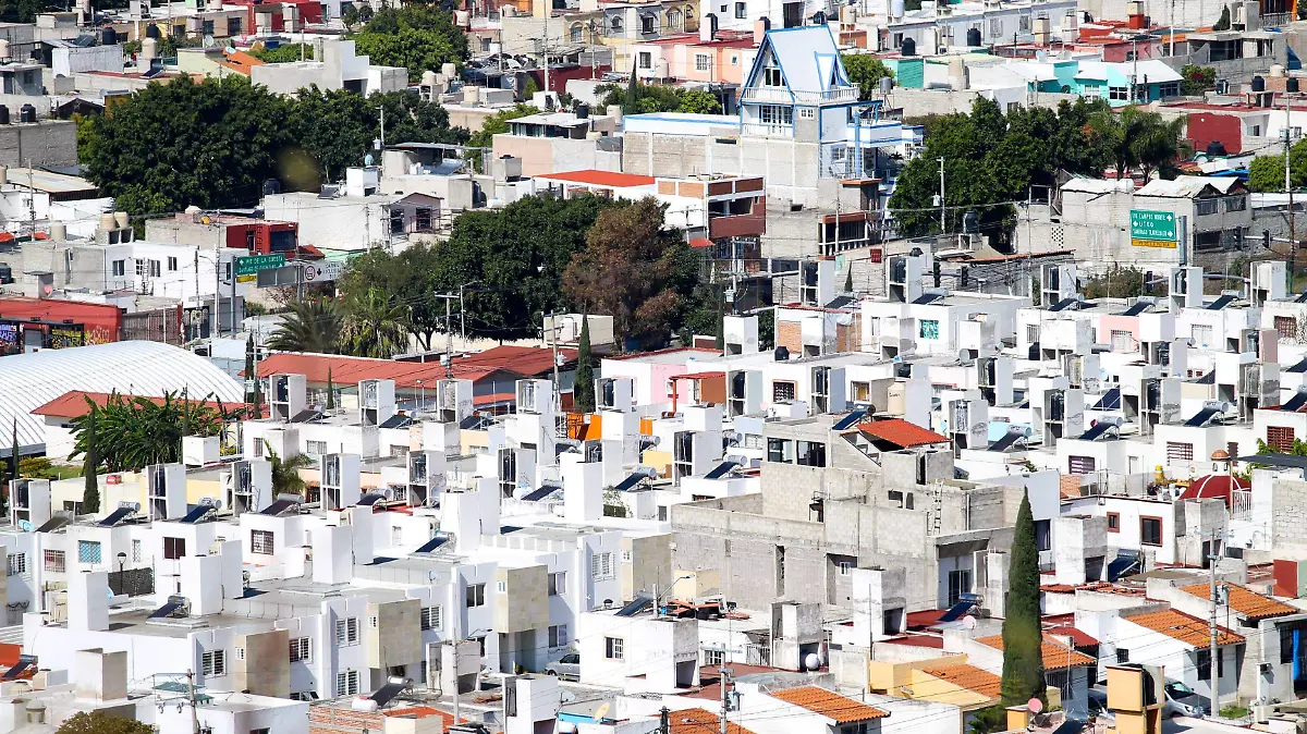 WhatsApp Image 2025-12-28 at 14.00.59