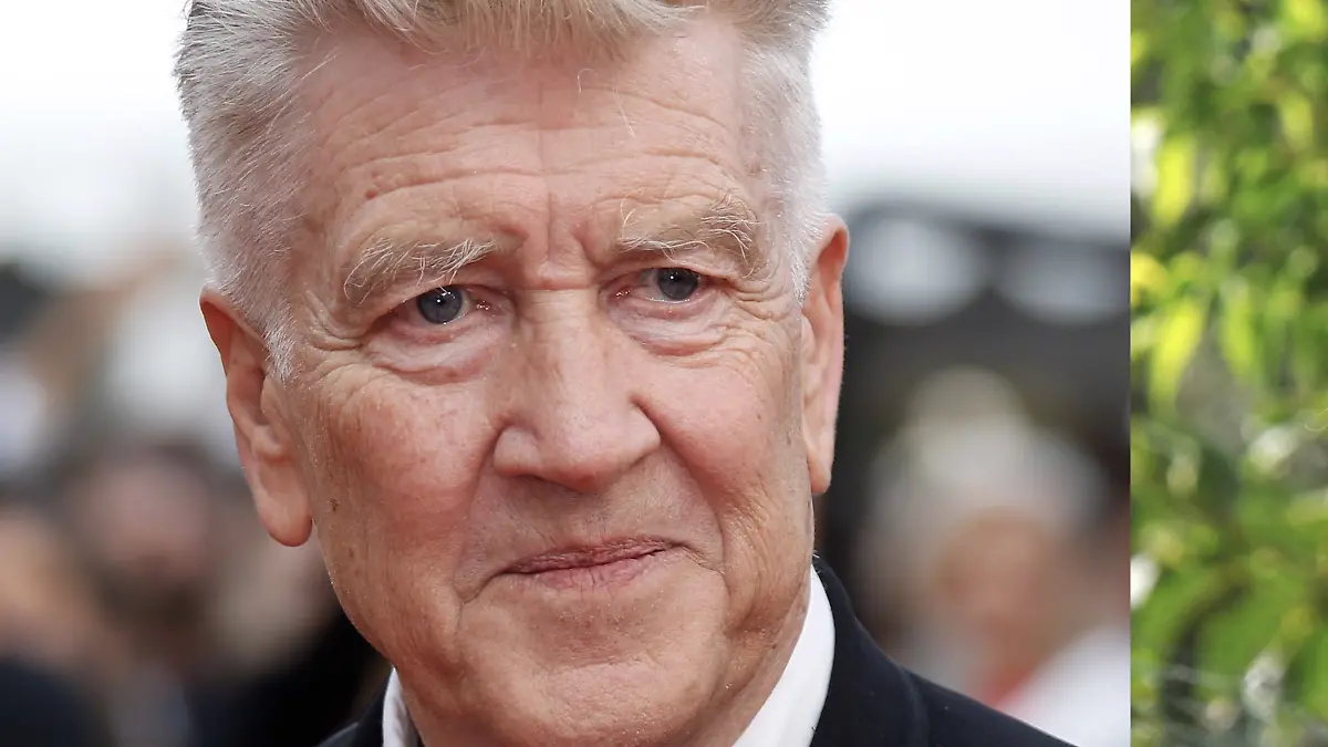 David Lynch