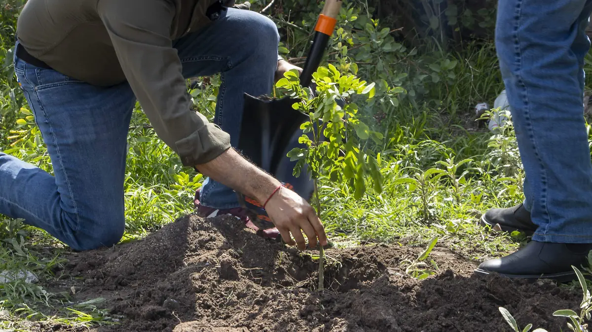 WhatsApp Image 2025-12-30 at 08.56.04