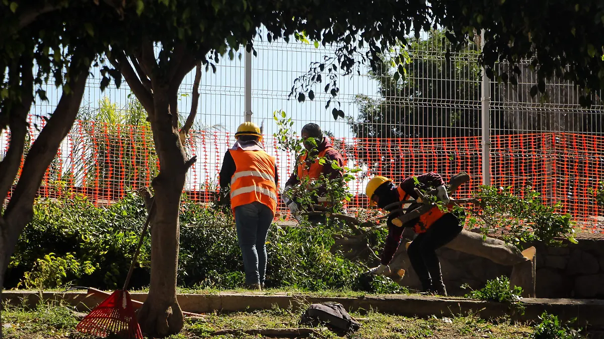 WhatsApp Image 2025-12-30 at 08.57.17