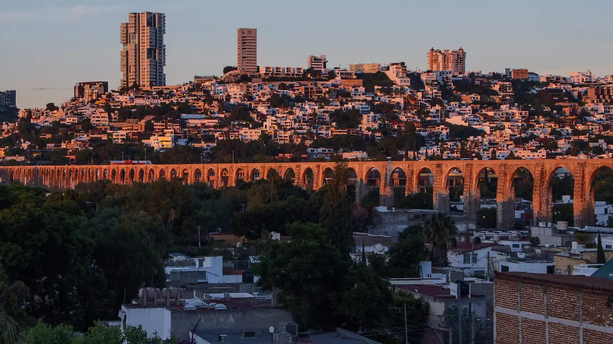 WhatsApp Image 2025-12-30 at 11.03.27 AM