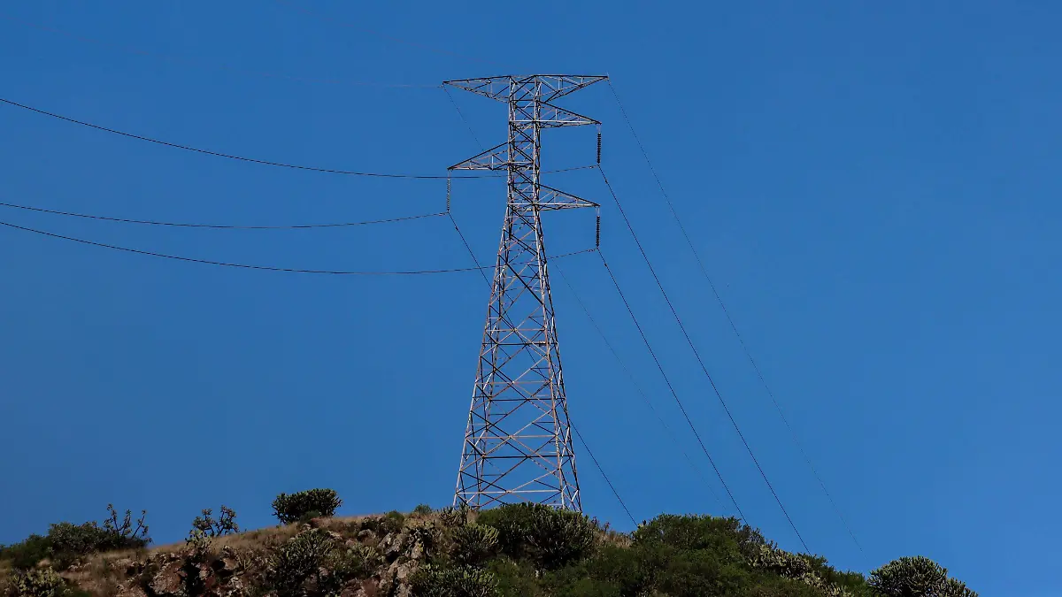 WhatsApp Image 2025-12-30 at 11.18.41 AM