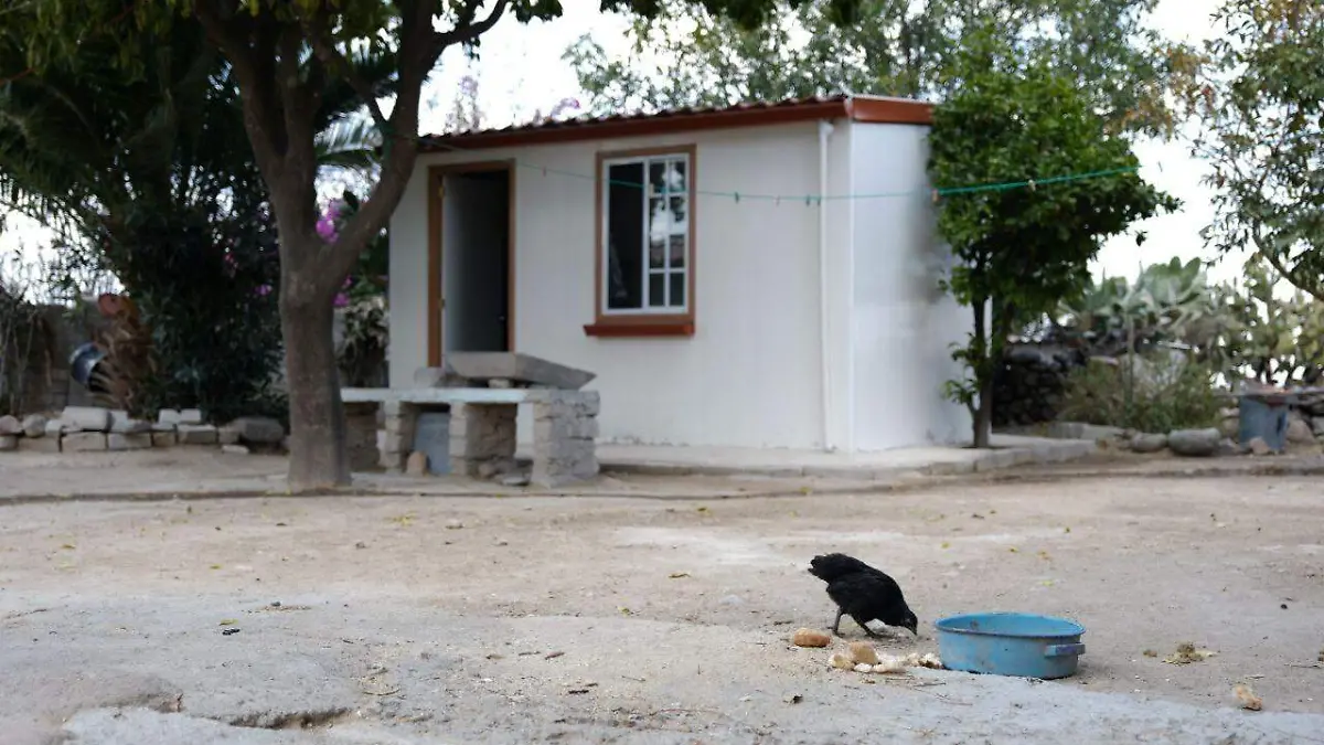 71_273_50222_1440307957_IMG_3389