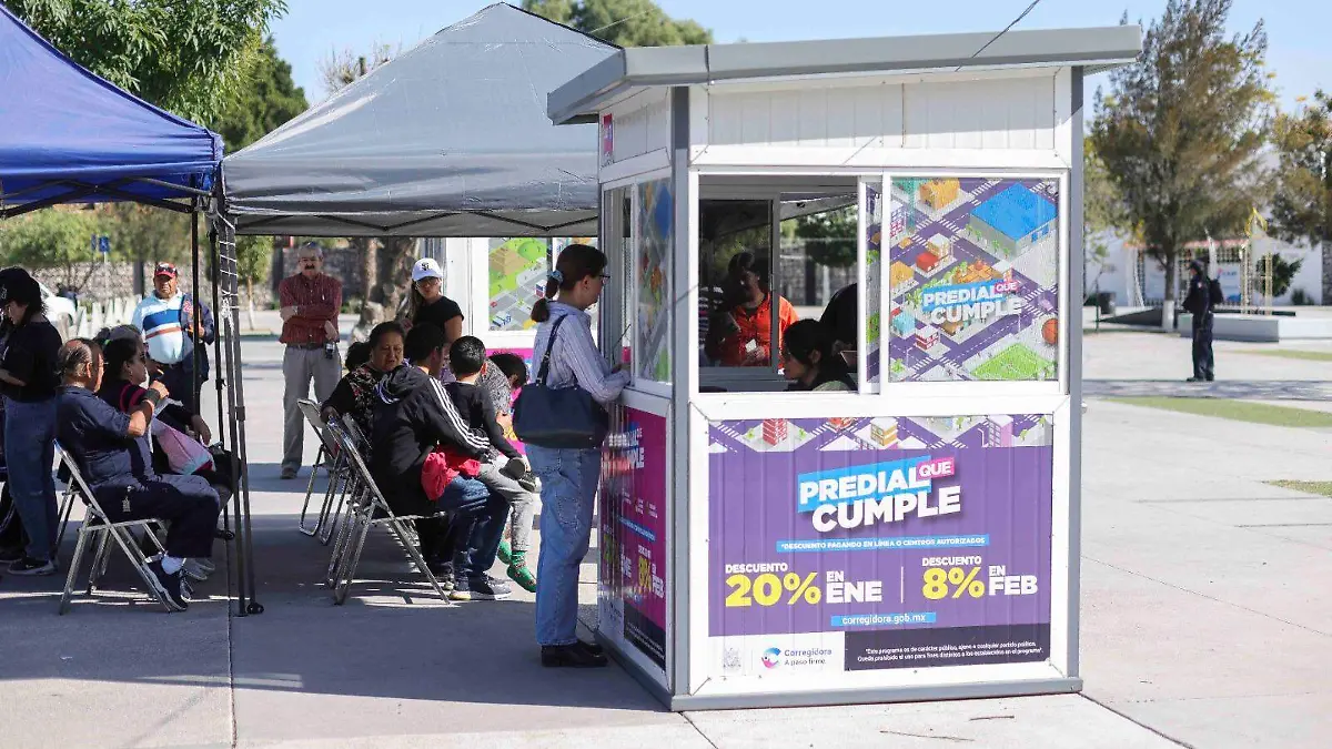 WhatsApp Image 2025-12-30 at 13.58.15