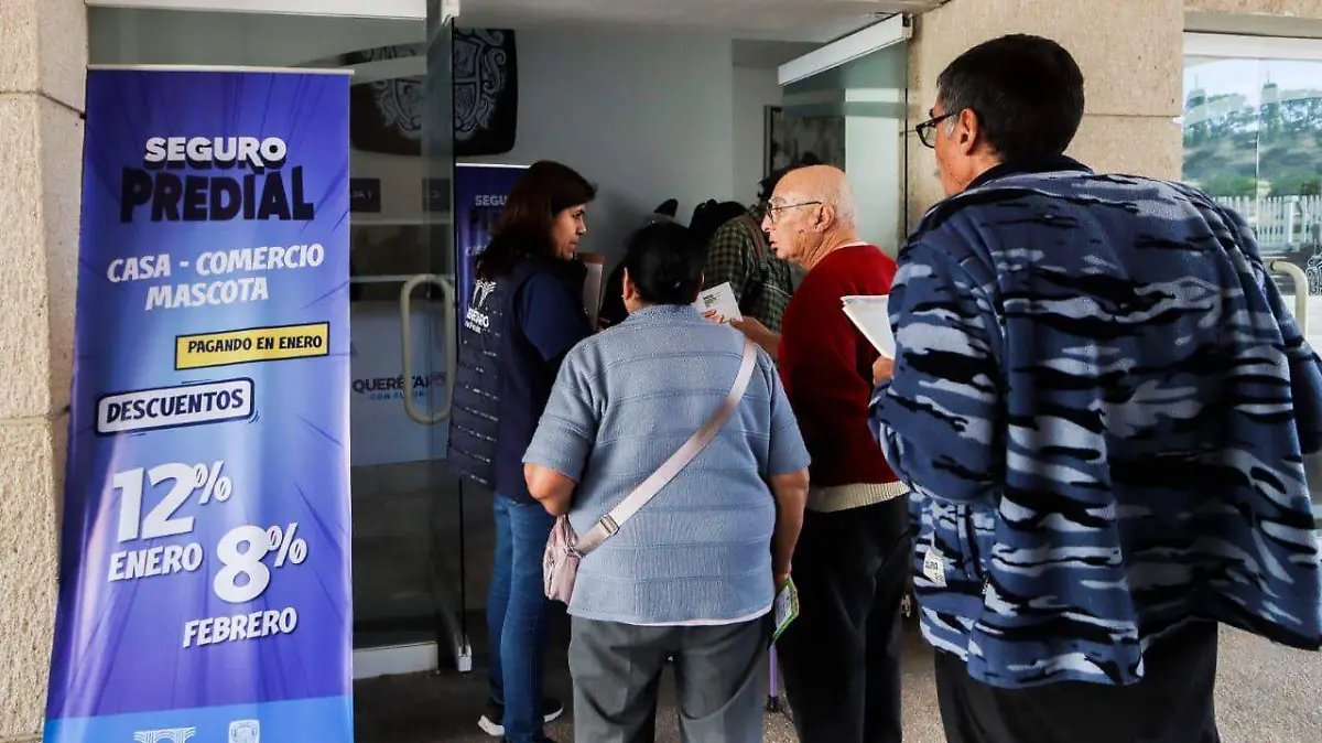 WhatsApp Image 2026-01-02 at 12.39.34