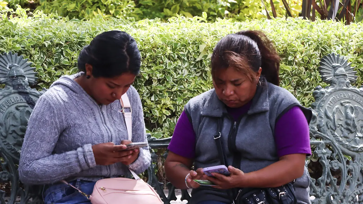 250219_EL CELULAR_MC_8