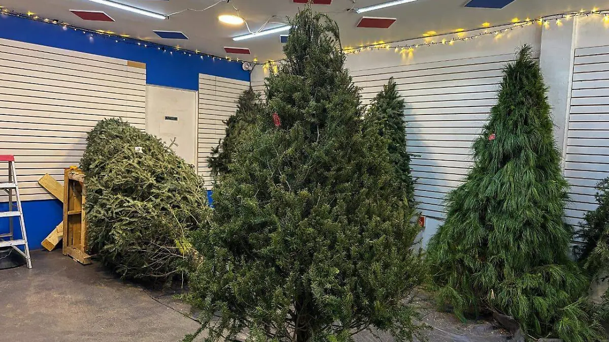 WhatsApp Image 2026-01-02 at 11.01.45