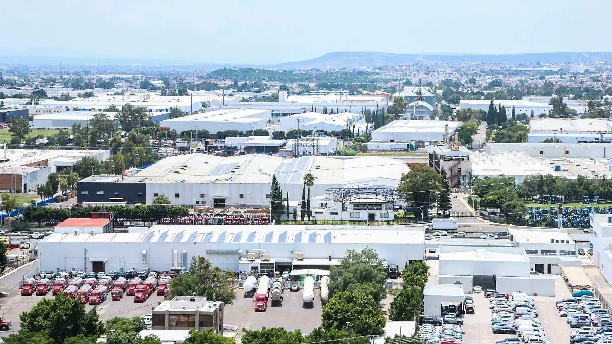 WhatsApp Image 2026-01-02 at 13.18.34