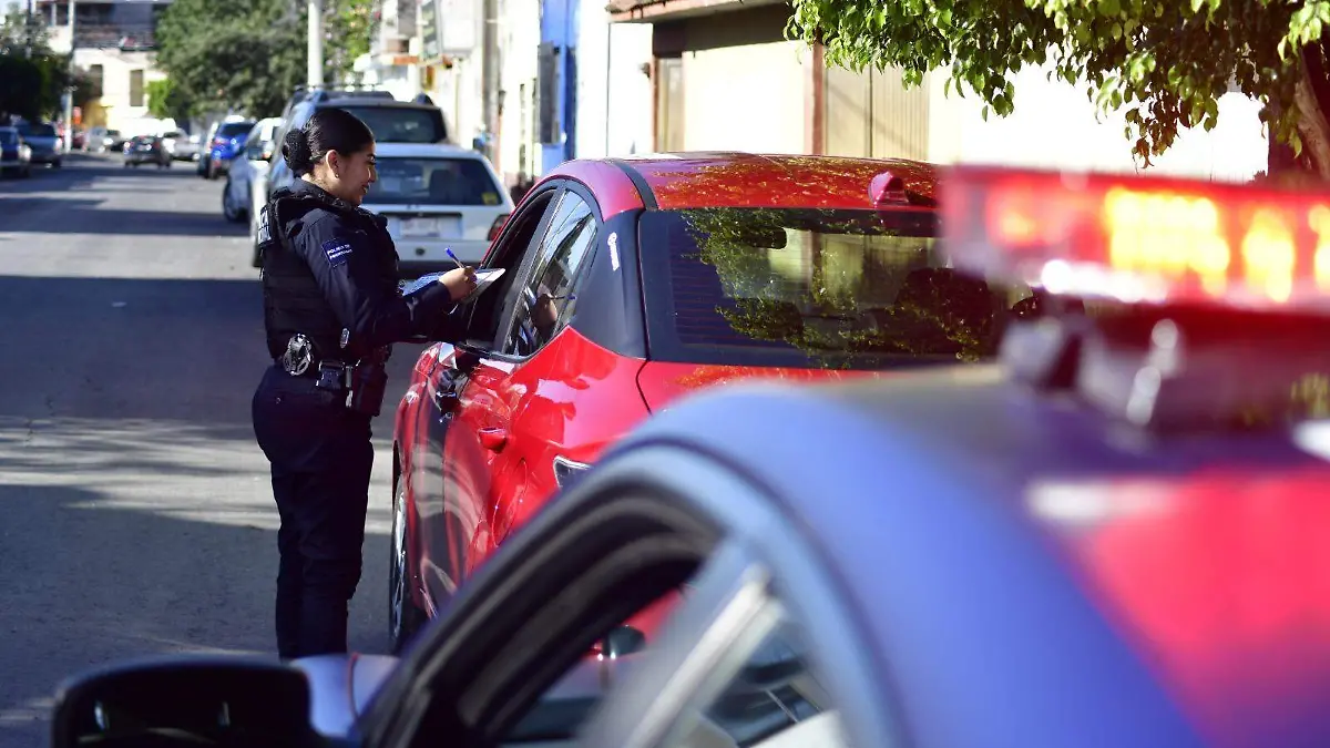 WhatsApp Image 2026-01-04 at 09.09.55