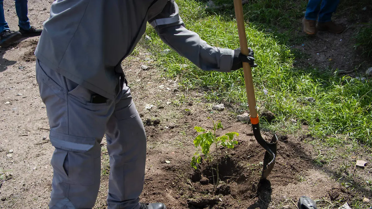 WhatsApp Image 2026-01-04 at 1.25.40 PM