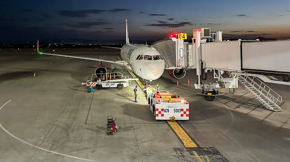 WhatsApp Image 2026-01-04 at 15.29.45