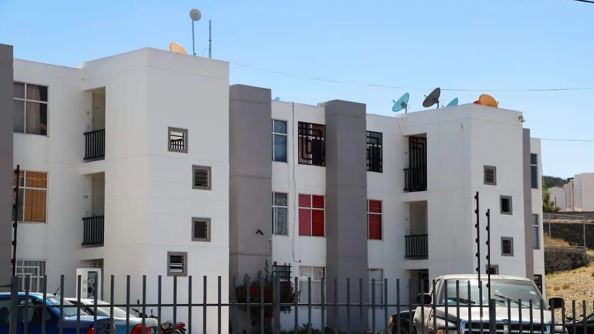 WhatsApp Image 2026-01-05 at 14.57.02