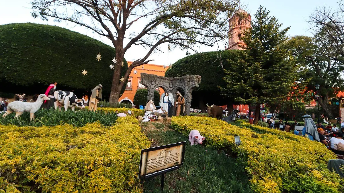 WhatsApp Image 2026-01-05 at 12.36.35