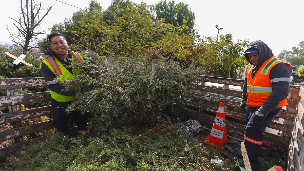 WhatsApp Image 2026-01-06 at 12.25.28