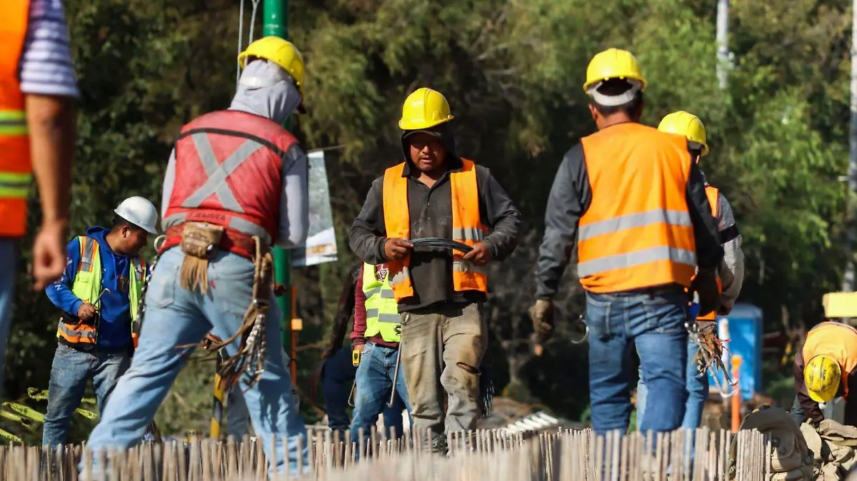 WhatsApp Image 2025-12-19 at 13.47.33